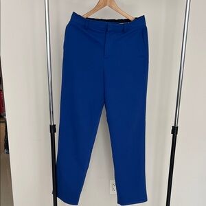 Zara Men's Blue Pants